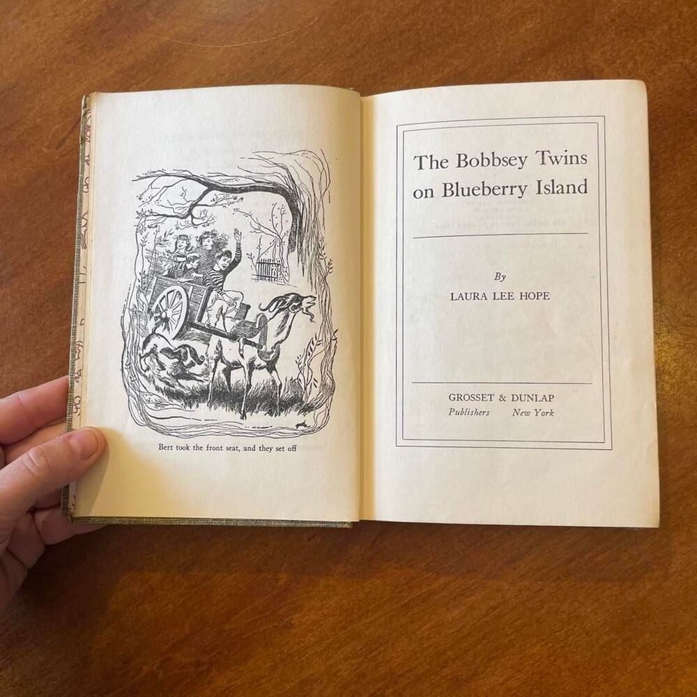 Vintage The Bobbsey Twins on Blueberry Island by Laura Lee Hope